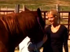 equine-video