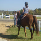 Trauma Equine Therapy