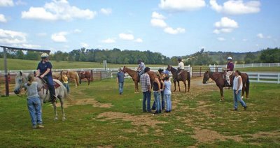 staff socializing with the horses