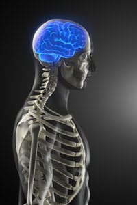 Deep Brain Stimulation Helps Anorexic Patients Gain Weight
