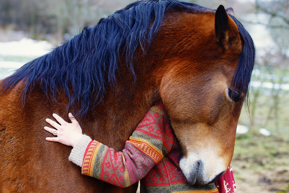 Woman hugging a horse in equine therapy for her mental health treatment