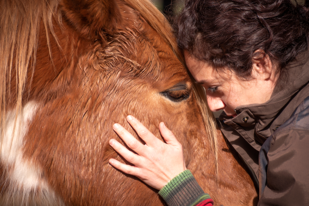 Woman hugging horse for holistic healing
